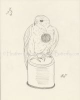 Clockwork Bird